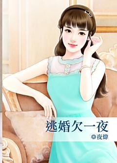 逃婚欠一夜