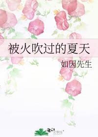 被火吹過的夏天