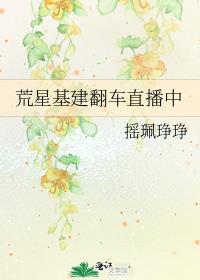 荒星基建翻車直播中