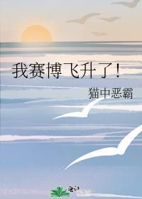 我賽博飛升了！