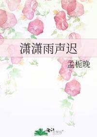 潇潇雨聲遲