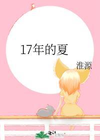 17年的夏