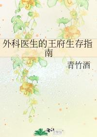 外科醫生的王府生存指南