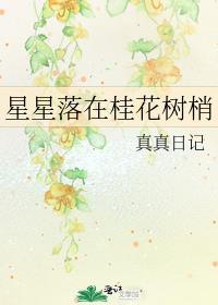 星星落在桂花樹梢