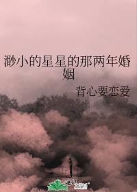 渺小的星星的那兩年婚姻