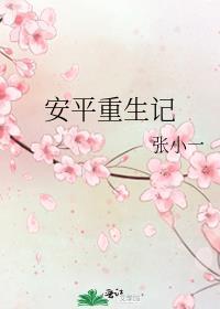 安平重生記