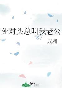 死對頭總叫我老公