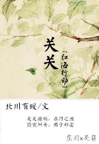 [紅海行動]關關