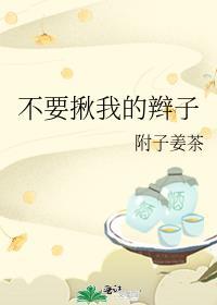 不要揪我的辮子