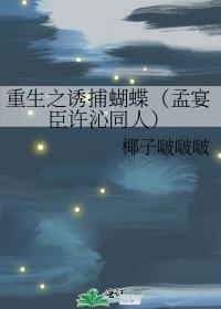 重生之誘捕蝴蝶（孟宴臣許沁同人）
