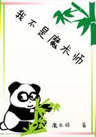 我不是魔術師