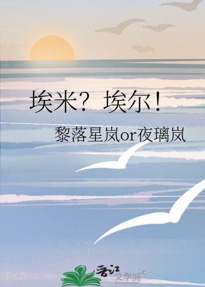 埃米？埃爾！