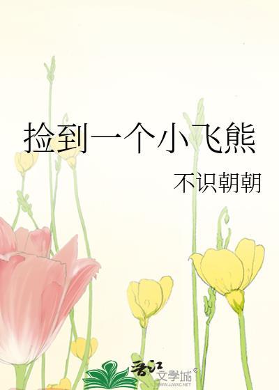 撿到一個小飛熊