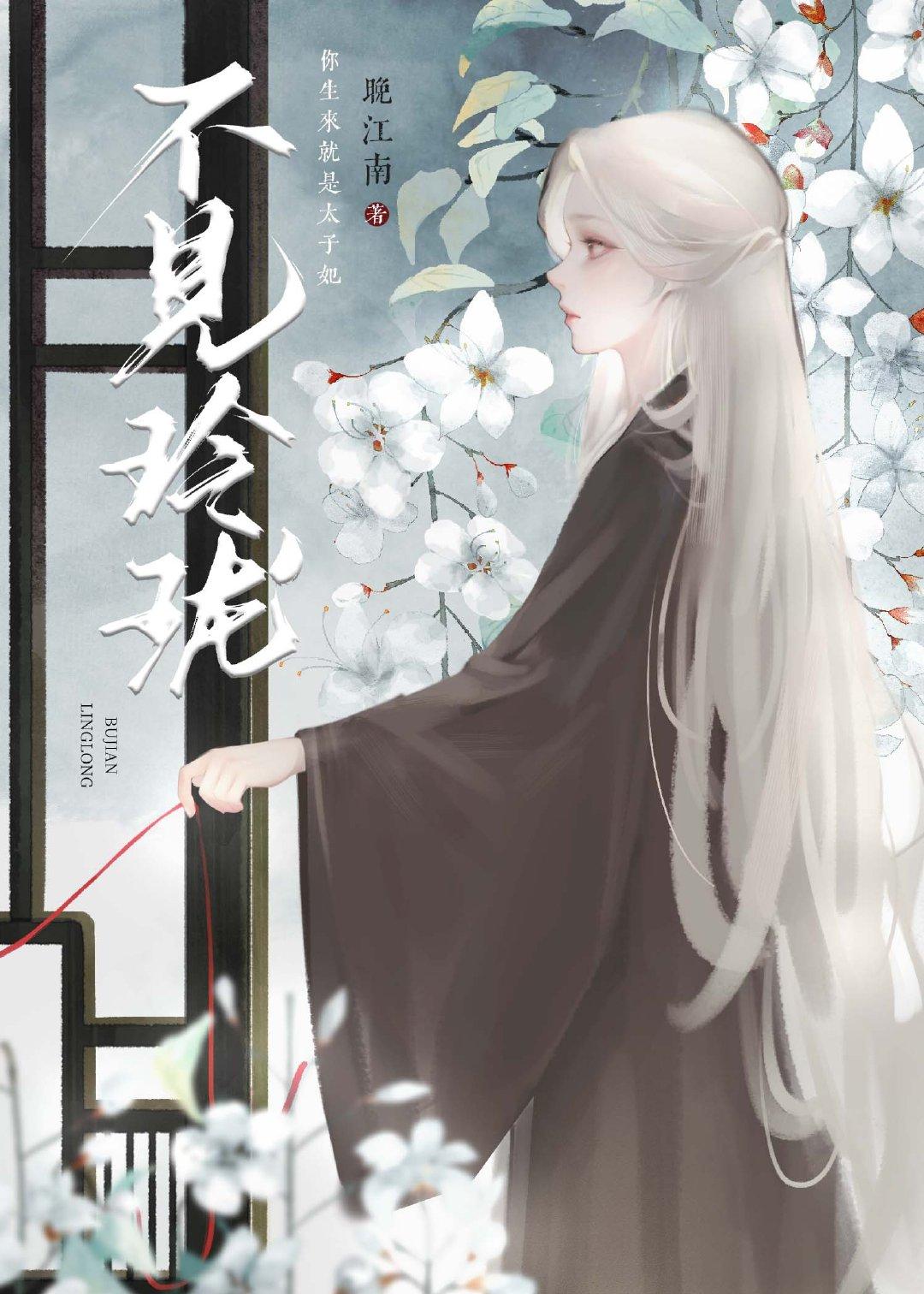 不見玲珑