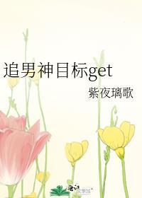 追男神目标get