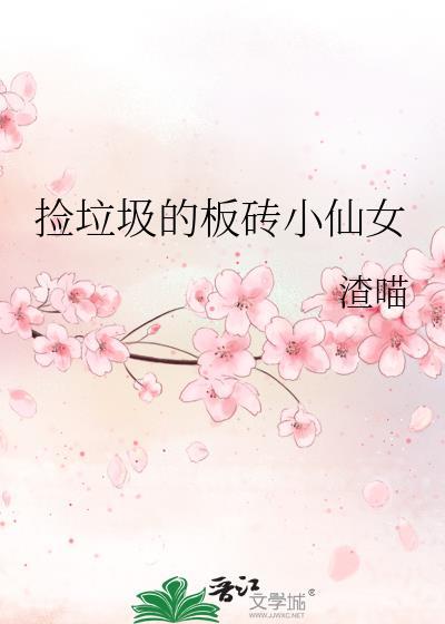 撿垃圾的板磚小仙女