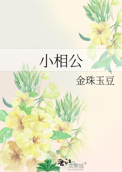 小相公