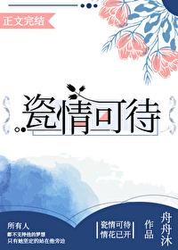 瓷情可待