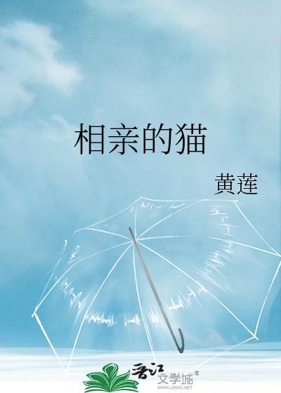 相親的貓