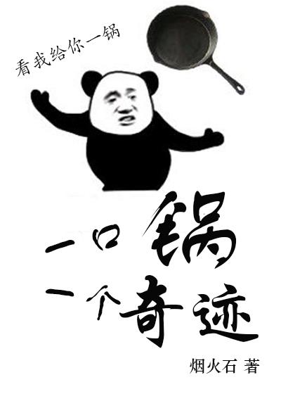 一口鍋一個奇跡[機甲]