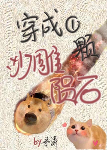 穿成一顆沙雕隕石