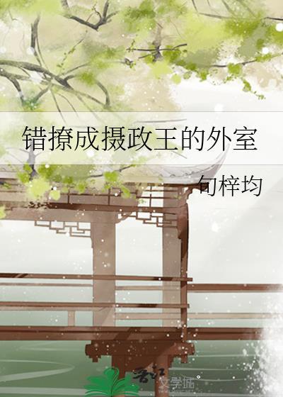 錯撩成攝政王的外室
