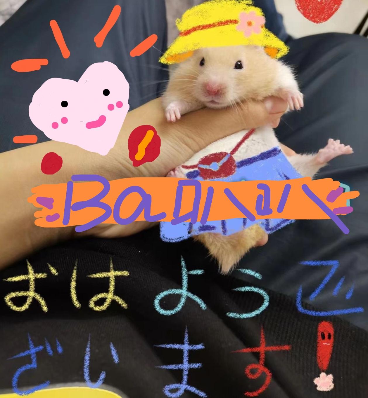 叭叭叭故事小冊