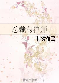 總裁與律師
