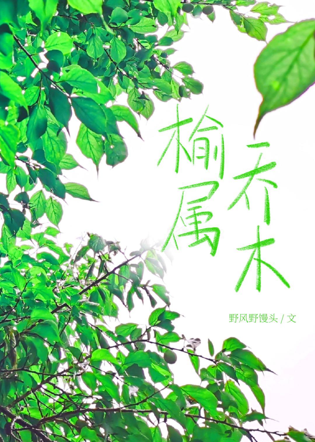 榆屬喬木