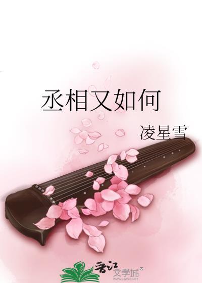 丞相又如何
