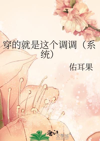 穿的就是這個調調（系統）
