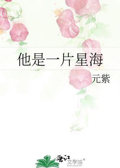 他是一片星海
