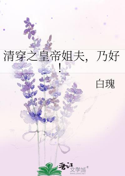 清穿之皇帝姐夫，乃好！
