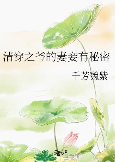 清穿之爺的妻妾有秘密