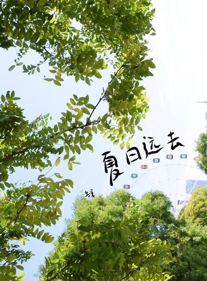 夏日遠去