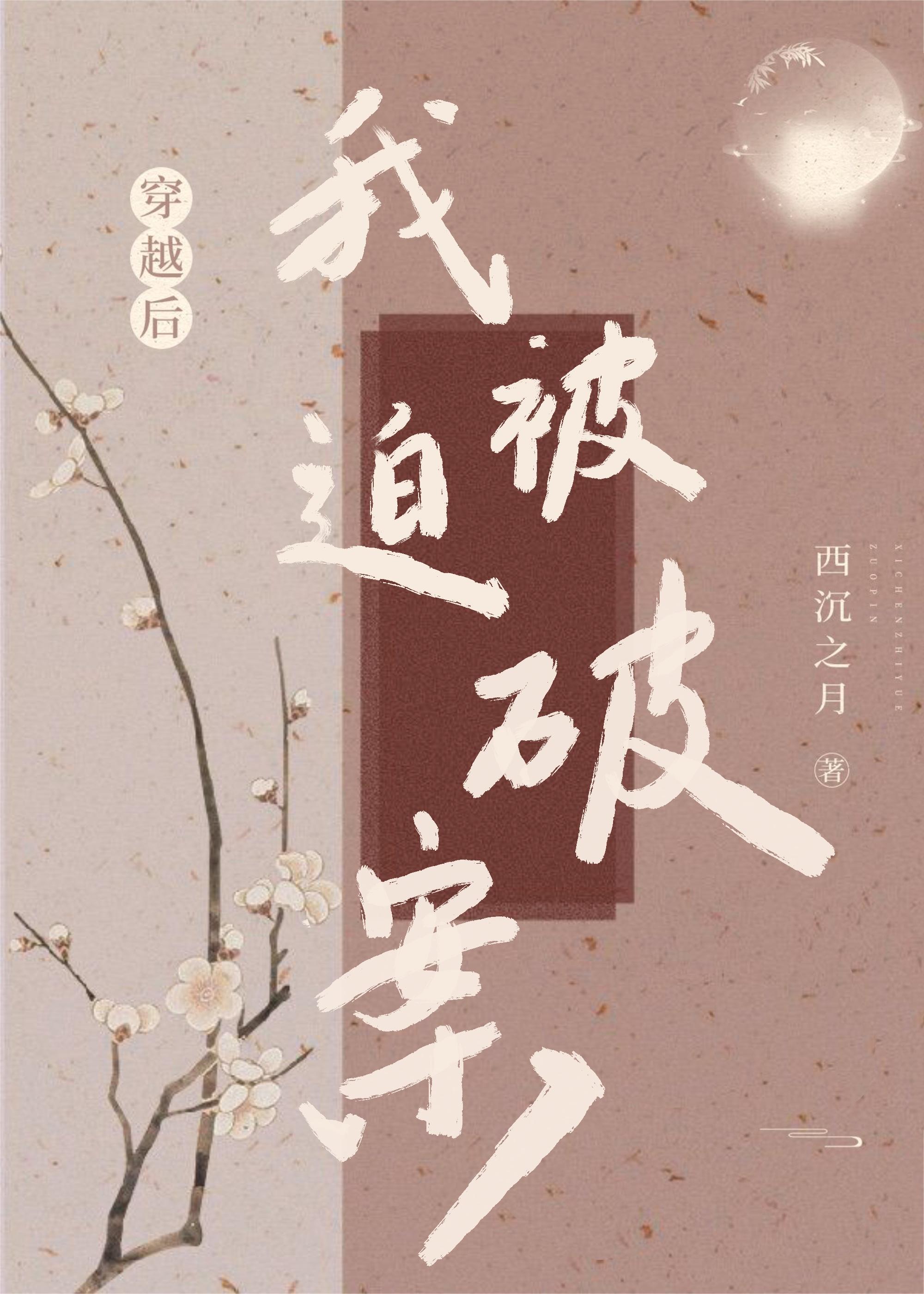 穿越後我被迫破案