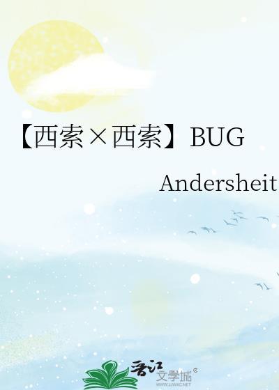 【西索×西索】BUG