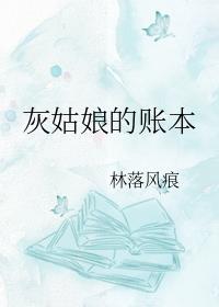 灰姑娘的賬本