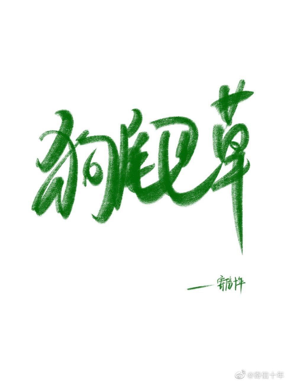 狗尾巴草