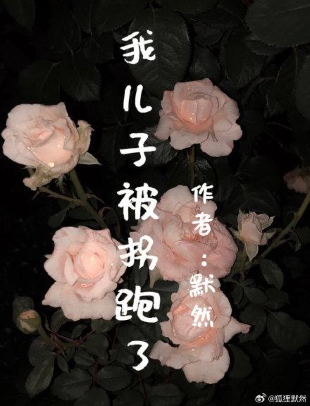 我兒子被拐跑了