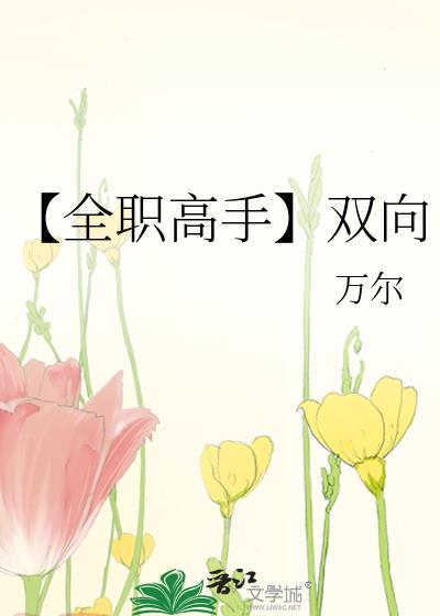 【全職高手】雙向