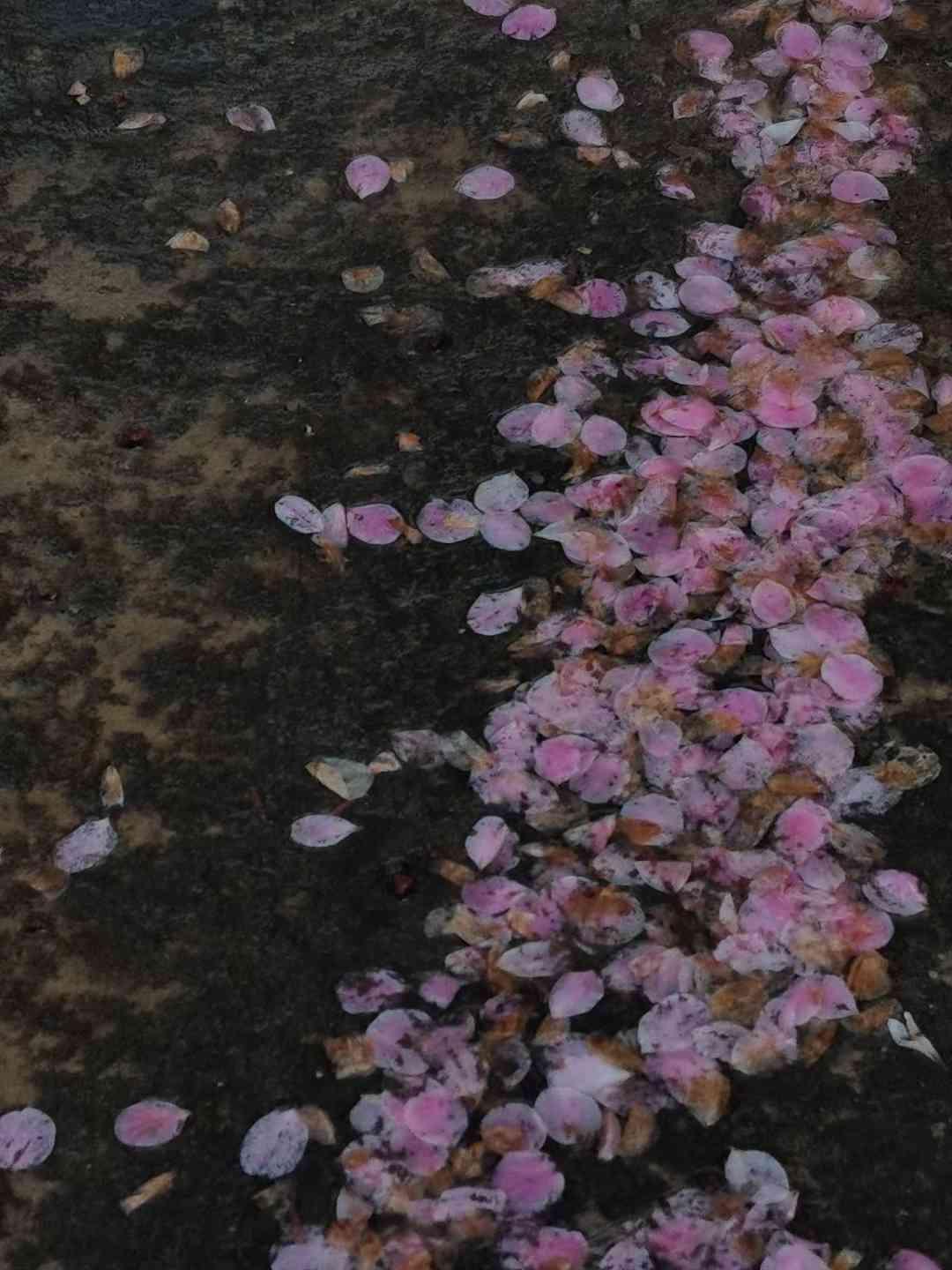 上當
