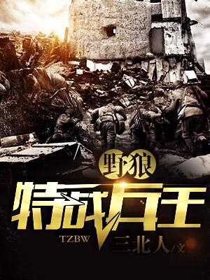 野狼特戰兵王
