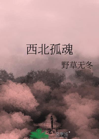 西北孤魂