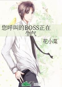 您唿叫的BOSS正在生氣