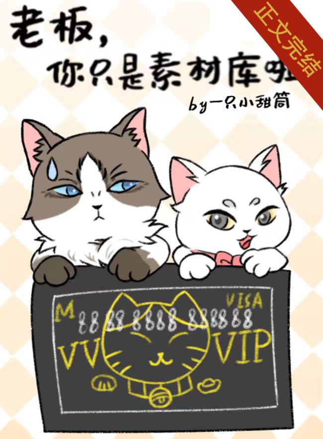 老板，你只是素材庫啦