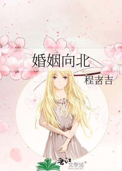 婚姻向北