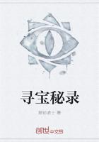 尋寶秘錄