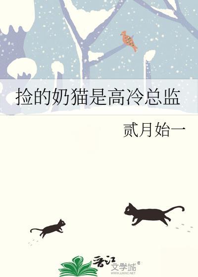 撿的奶貓是高冷總監