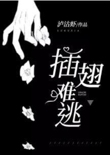 插翅難逃